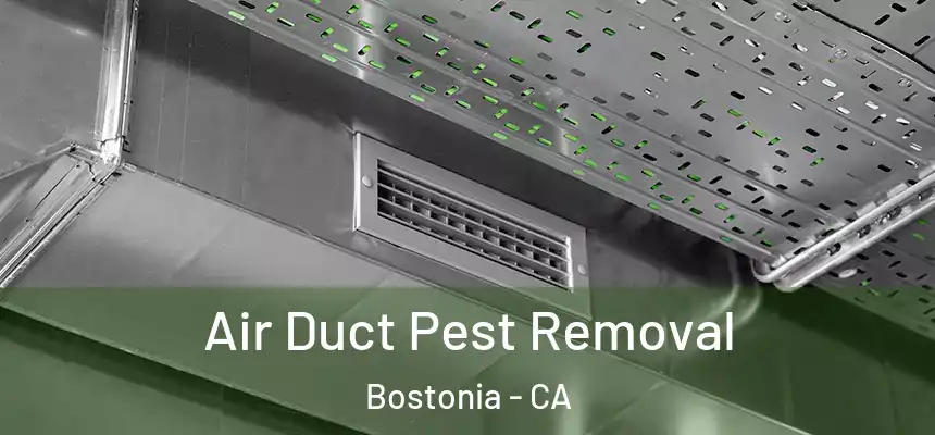  Air Duct Pest Removal Bostonia - CA
