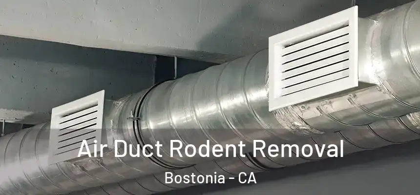  Air Duct Rodent Removal Bostonia - CA