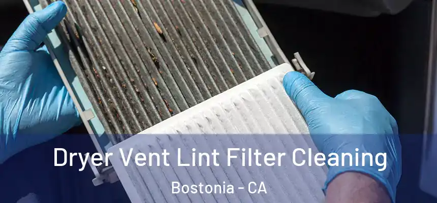  Dryer Vent Lint Filter Cleaning Bostonia - CA