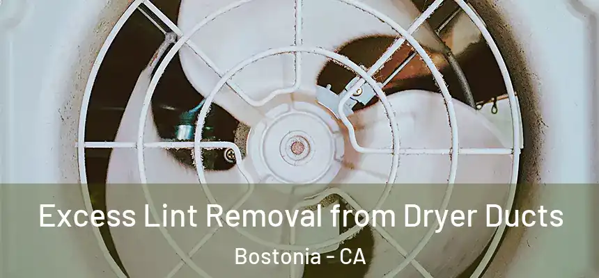  Excess Lint Removal from Dryer Ducts Bostonia - CA