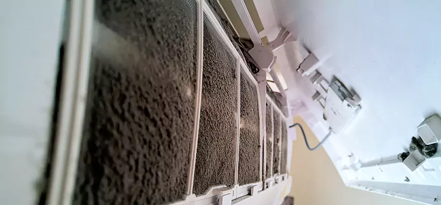 Preventive Air Duct Bacteria Removal in Bostonia