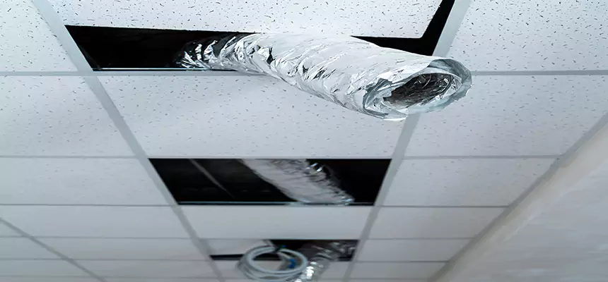 Affordable HVAC Sanitizing After Pest Removal in Bostonia