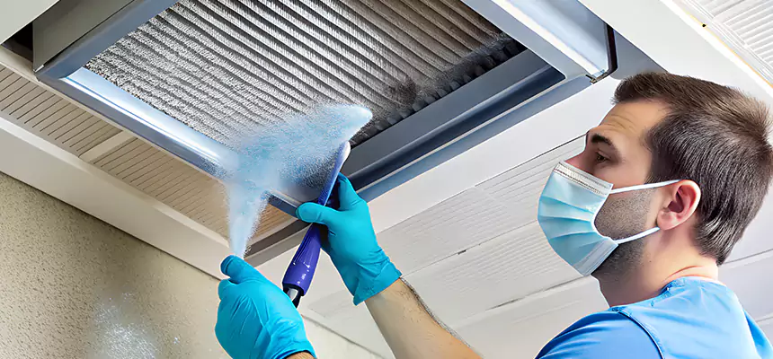 Proactive Dryer Vent & Auxiliary Duct Pollen Cleanup in Bostonia, CA