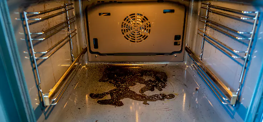 Our Dryer Vent Mold Cleaning Services in Bostonia, CA