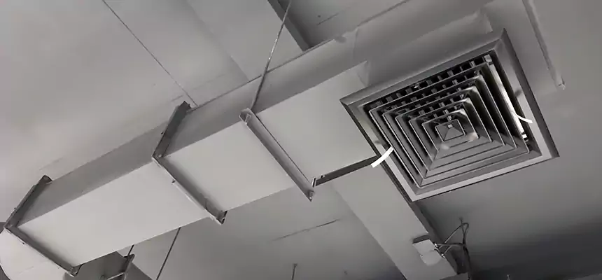 Our Pest Removal From Ducts Services in Bostonia, CA