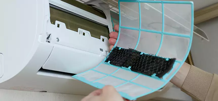 Gentle Ductwork Odor-Control Pet Dander Duct Cleaning in Bostonia, CA