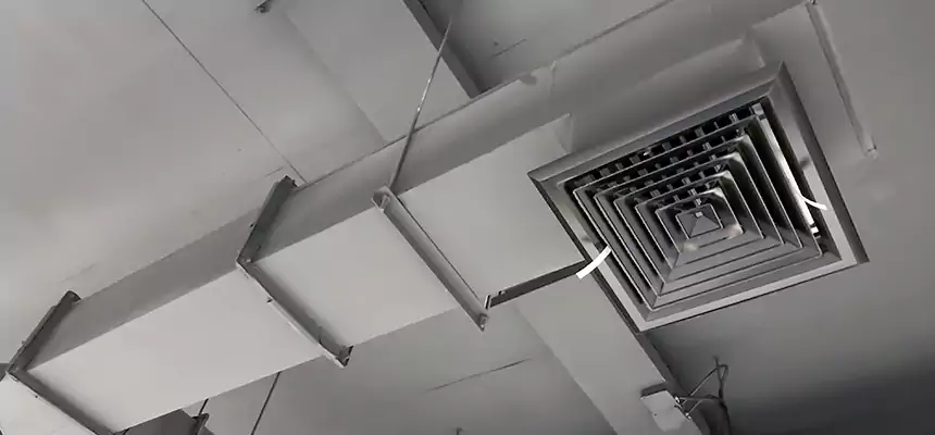 Our Rodent Droppings In Vents Services in Bostonia, CA