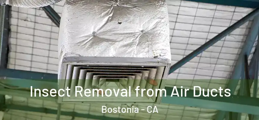  Insect Removal from Air Ducts Bostonia - CA
