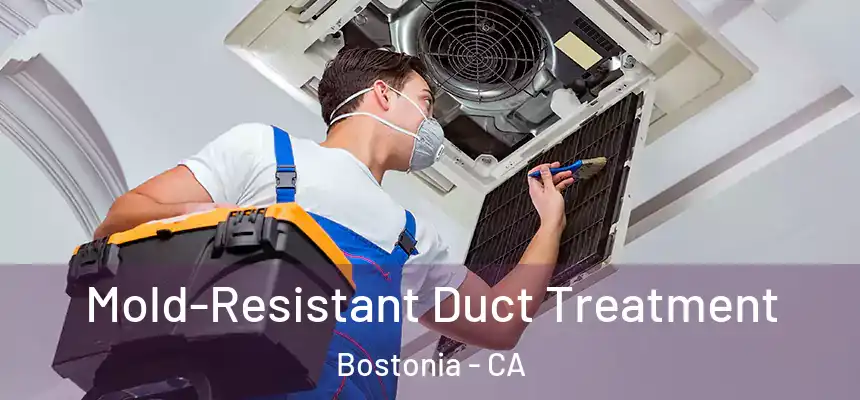  Mold-Resistant Duct Treatment Bostonia - CA