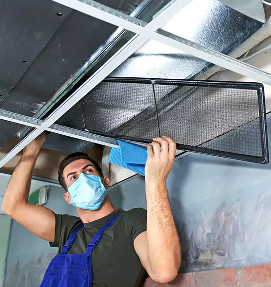 About Air Duct Bacteria Removal in Bostonia