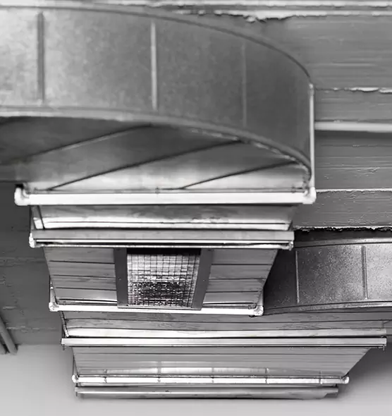 Professional Air Duct Pet Hair Removal in Bostonia, CA