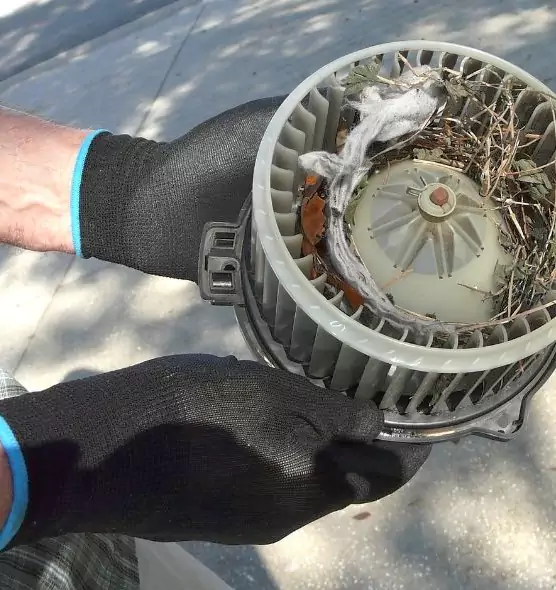 About Air Duct Rat Removal in Bostonia, CA