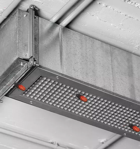 Affordable Insect Removal from Air Ducts in Bostonia, CA