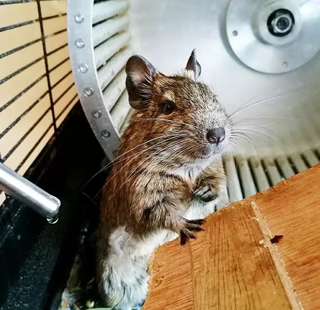 Why Homeowners & Businesses Trust Us Bostonia, CA