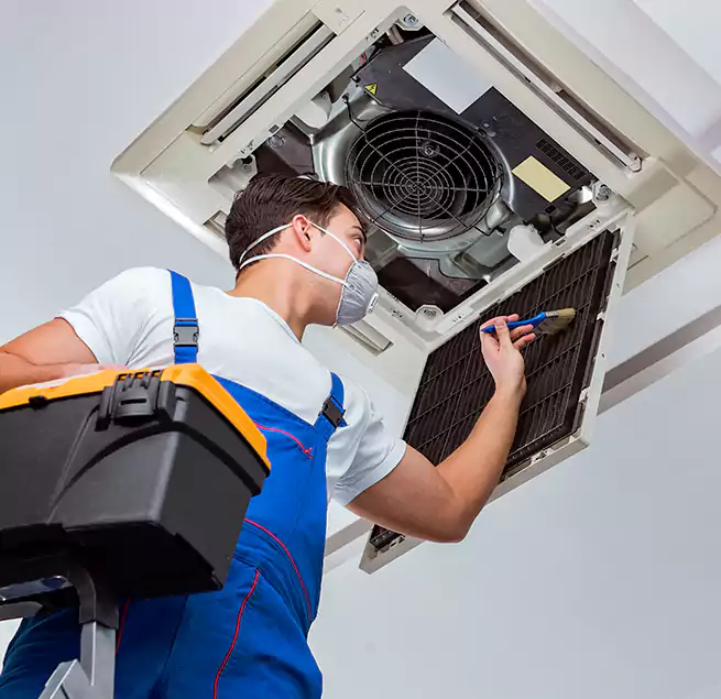 Why Homeowners & Businesses Trust Us in Bostonia, CA