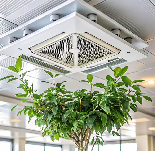 Why Homeowners & Businesses Trust Us in Bostonia, CA