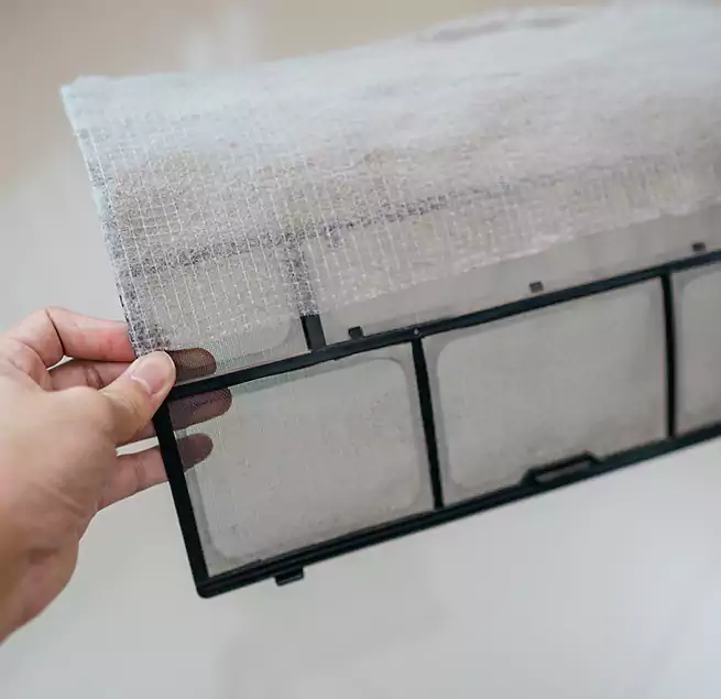 Why Homeowners & Businesses Trust Us in Bostonia, CA?