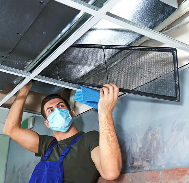 Why Homeowners & Businesses Trust Us in Bostonia, CA?